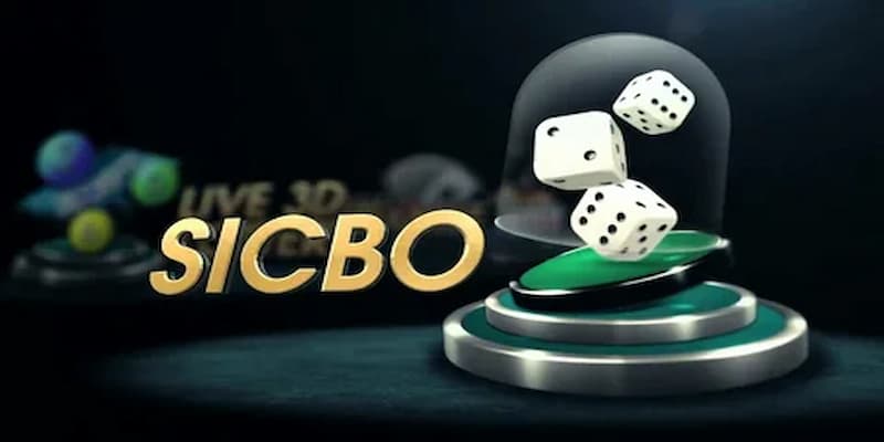 Các cửa cược phổ biến trong sicbo